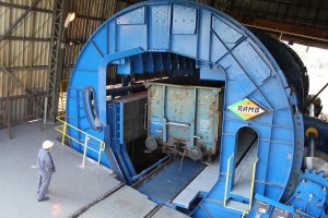 Wywrotnica Wagonowa zdjęcie #3