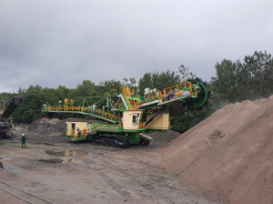 Koparka Popiołowa zdjęcie #4