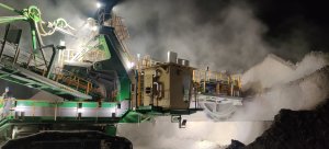 Koparka Popiołowa zdjęcie #3