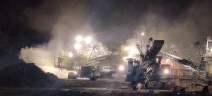 Koparka Popiołowa zdjęcie #1